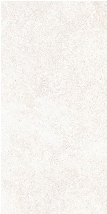 OL Limestone Bianco Matte 12 x 24